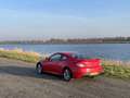 Hyundai Genesis Coupe Genesis Coupe 2.0T Rojo - thumbnail 9
