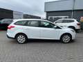 Ford Focus Wagon 1.6Ti-VCT Lease Trend Navigatie Blanc - thumbnail 8