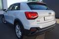 Audi Q2 35 2.0 TDI quattro S line LED Navi ACC Kamera Weiß - thumbnail 4