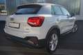 Audi Q2 35 2.0 TDI quattro S line LED Navi ACC Kamera Weiß - thumbnail 3
