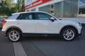 Audi Q2 35 2.0 TDI quattro S line LED Navi ACC Kamera Weiß - thumbnail 5