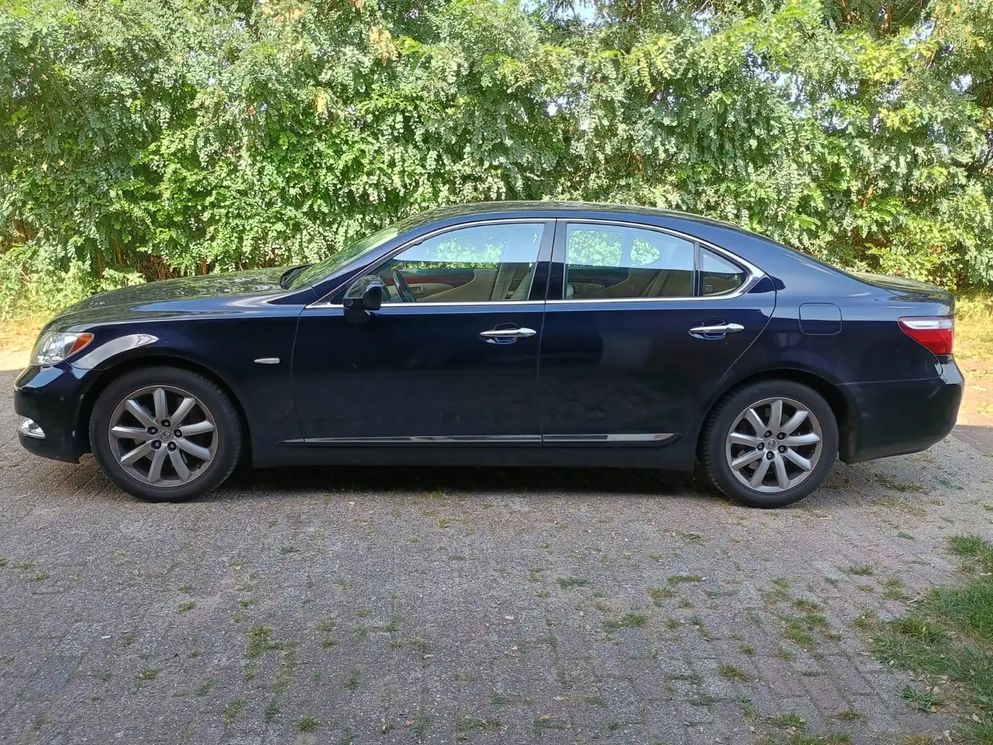 Lexus LS 460 Ambience - 2