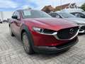Mazda CX-30 e-Skyactive G140 Homura Rot - thumbnail 4