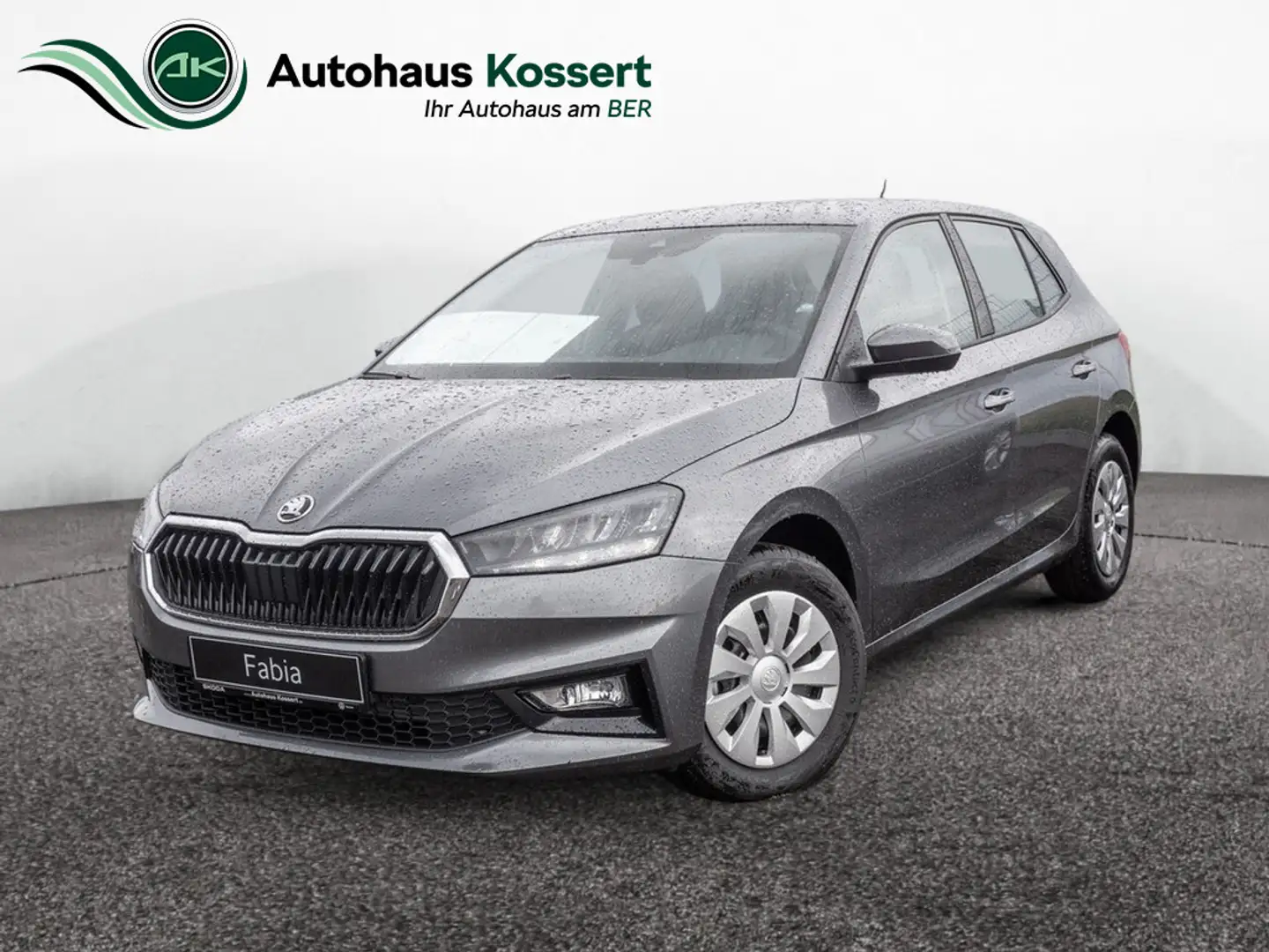 Skoda Fabia 1.0 Essence KLIMA PDC SITZHEIZUNG LED Gris - 1