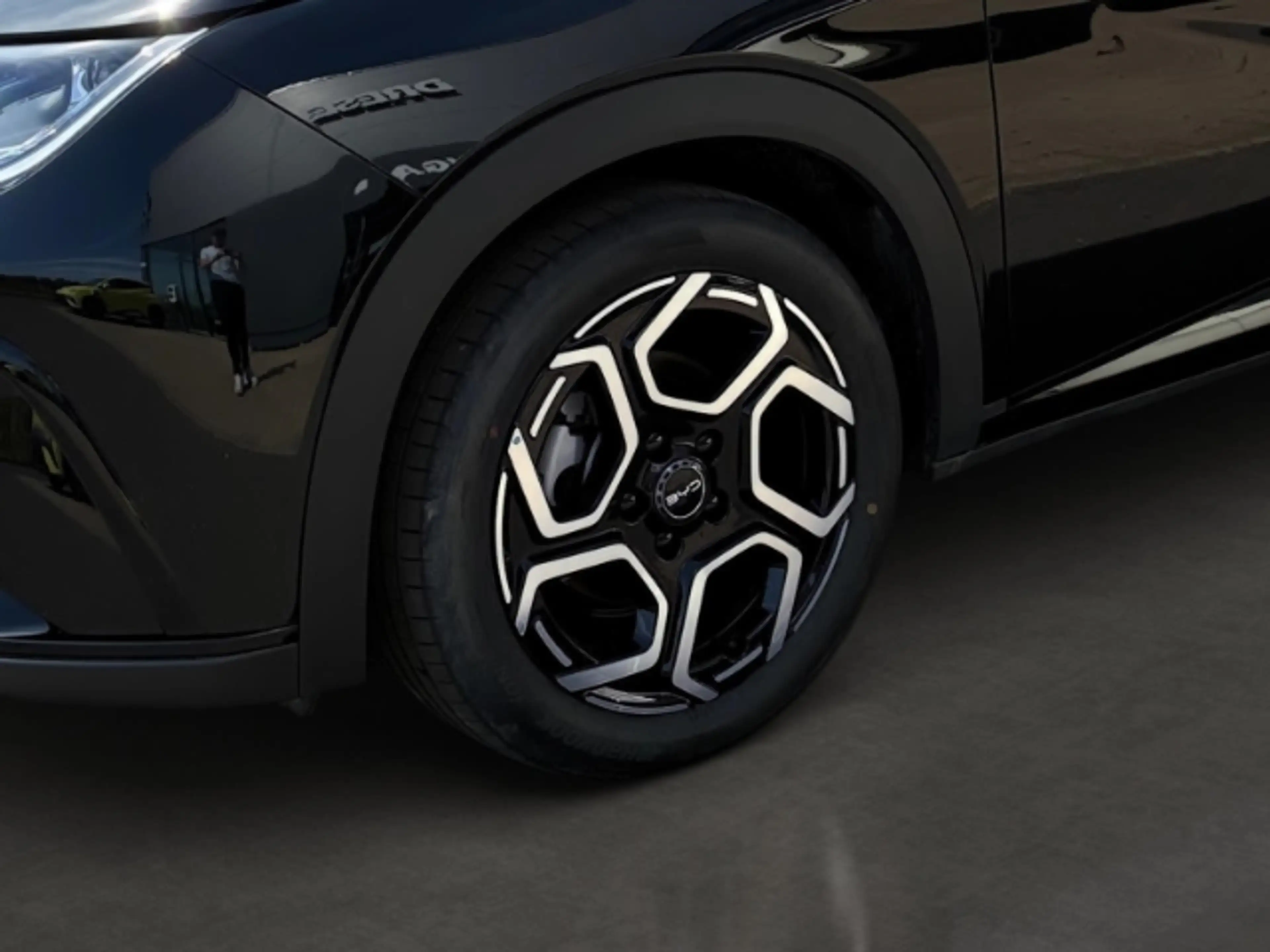 BYD Dolphin Design Pano/LED/360Kamera/Smartkey — photo 6