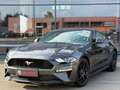 Ford Mustang 2.3 EcoBoost 290CV ACC COCKPIT GPS CAMERA LED FULL Grau - thumbnail 3