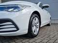 Volkswagen Golf VIII 1.0 TSI Life LED NAVI SHZ APP Weiß - thumbnail 8