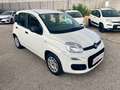 Fiat Panda Panda 1.2 Easy easypower Gpl 69cv my19 Bianco - thumbnail 3