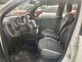 Fiat Panda Panda 1.2 Easy easypower Gpl 69cv my19 Bianco - thumbnail 7