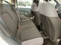 Fiat Panda Panda 1.2 Easy easypower Gpl 69cv my19 Bianco - thumbnail 12