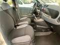 Fiat Panda Panda 1.2 Easy easypower Gpl 69cv my19 Bianco - thumbnail 11