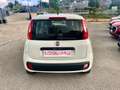 Fiat Panda Panda 1.2 Easy easypower Gpl 69cv my19 Bianco - thumbnail 5