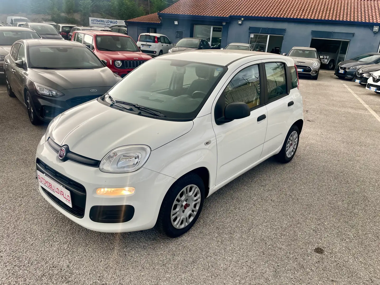 Fiat Panda Panda 1.2 Easy easypower Gpl 69cv my19 Blanc - 1