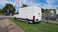 MAN TGE 3.140 4X2F SB Crafter Blanco - thumbnail 2
