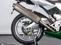 Benelli Tornado TRE NOVECENTO LIMITED EDITION Verde - thumbnail 15