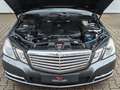 Mercedes-Benz E 220 E T-Modell 7G-Tronic|ILS|GSD|XENON|PDC| Grau - thumbnail 11