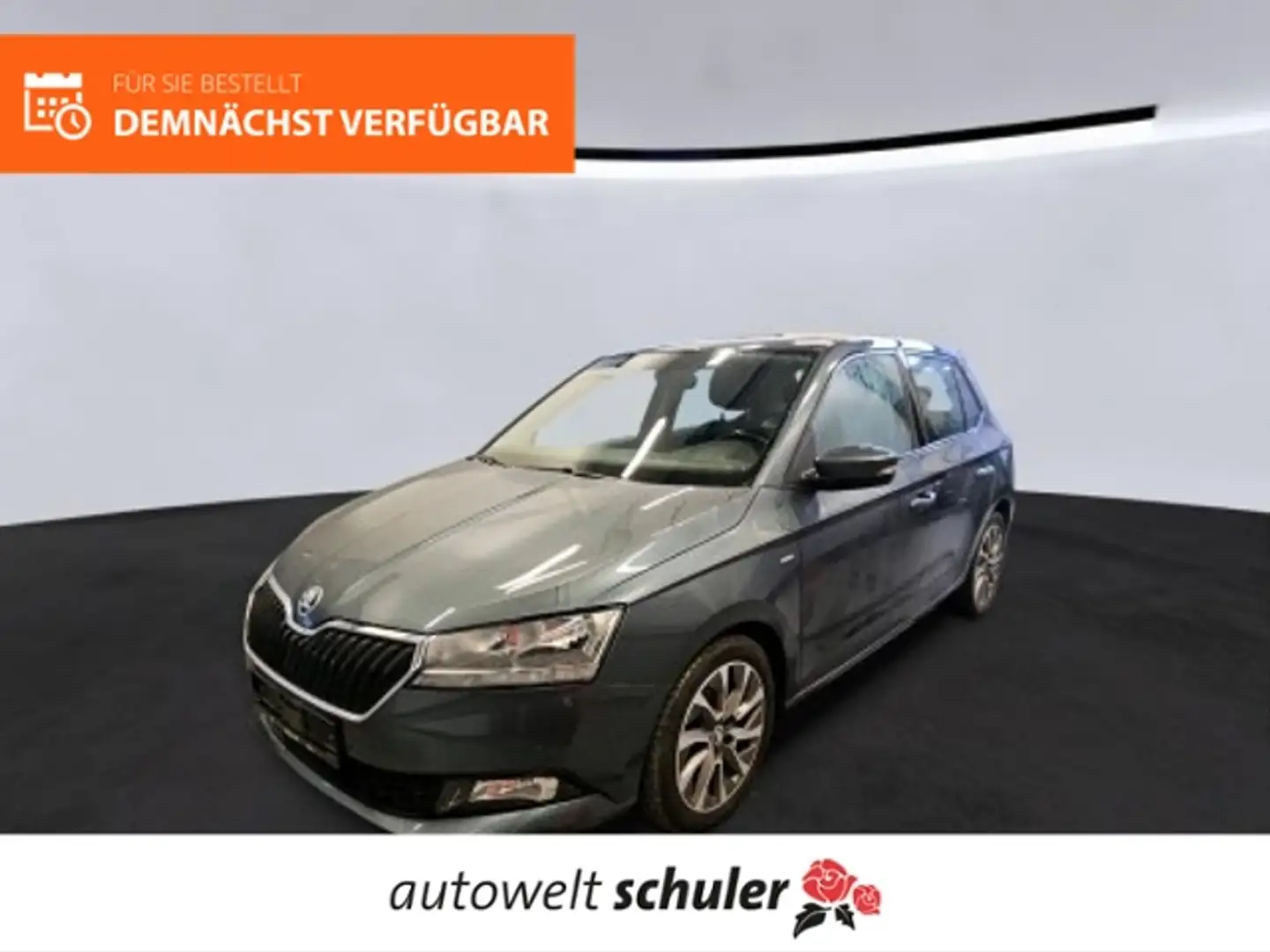 Skoda Fabia 1,0 Clever SmartLink Climatronic Grau - 1