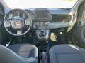 Fiat Panda 1.0 firefly hybrid s&s 70cv - thumbnail 8
