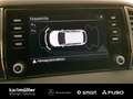 Skoda Karoq Karoq 1.5 TSI ACT Style Apple+DAB+Sitzh+Tempomat Negru - thumbnail 15