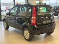 Fiat Panda 1.2 Climbing 4x4 Schwarz - thumbnail 4
