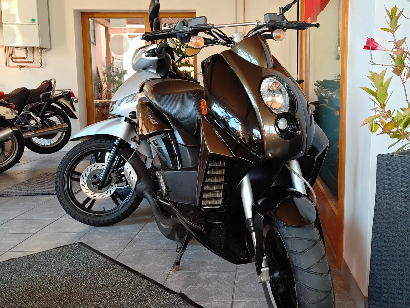 Peugeot Ludix Blaster Bruin - 1