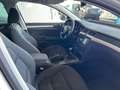 Skoda Superb Combi 2.0 TDI Exclusive Weiß - thumbnail 8