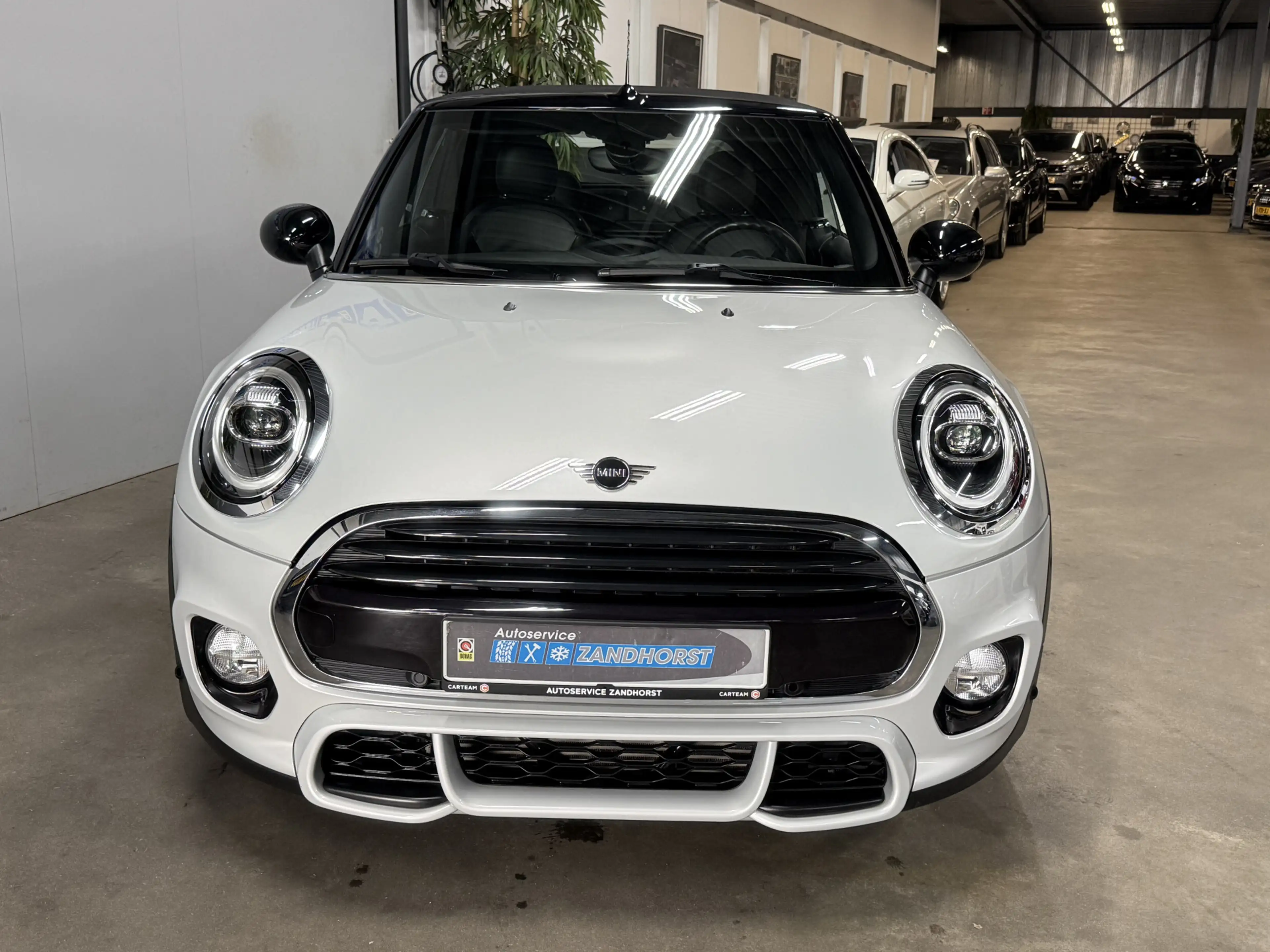 MINI Cooper Cabrio 1.5 Salt // Leer // Mini Yours // JCW! — photo 2