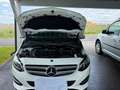 Mercedes-Benz B 180 B 180 d Aut. Weiß - thumbnail 4