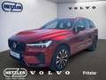 Volvo XC60 Plus Dark 2WD B4 Benzin EU6d digitales Cockpit Mem Rot - thumbnail 1