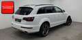Audi Q7 3.0 TDI qu S line V12 OPTIK 7SITZ+PANO+AHK+ Білий - thumbnail 4