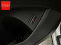 Audi Q7 3.0 TDI qu S line V12 OPTIK 7SITZ+PANO+AHK+ Білий - thumbnail 32