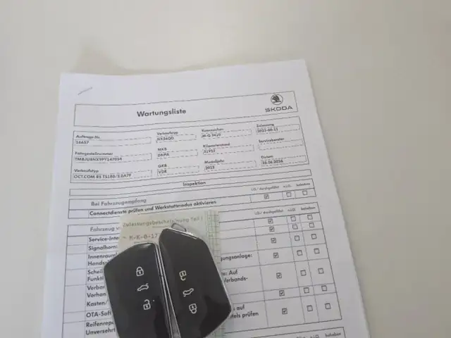 Skoda Octavia view 15