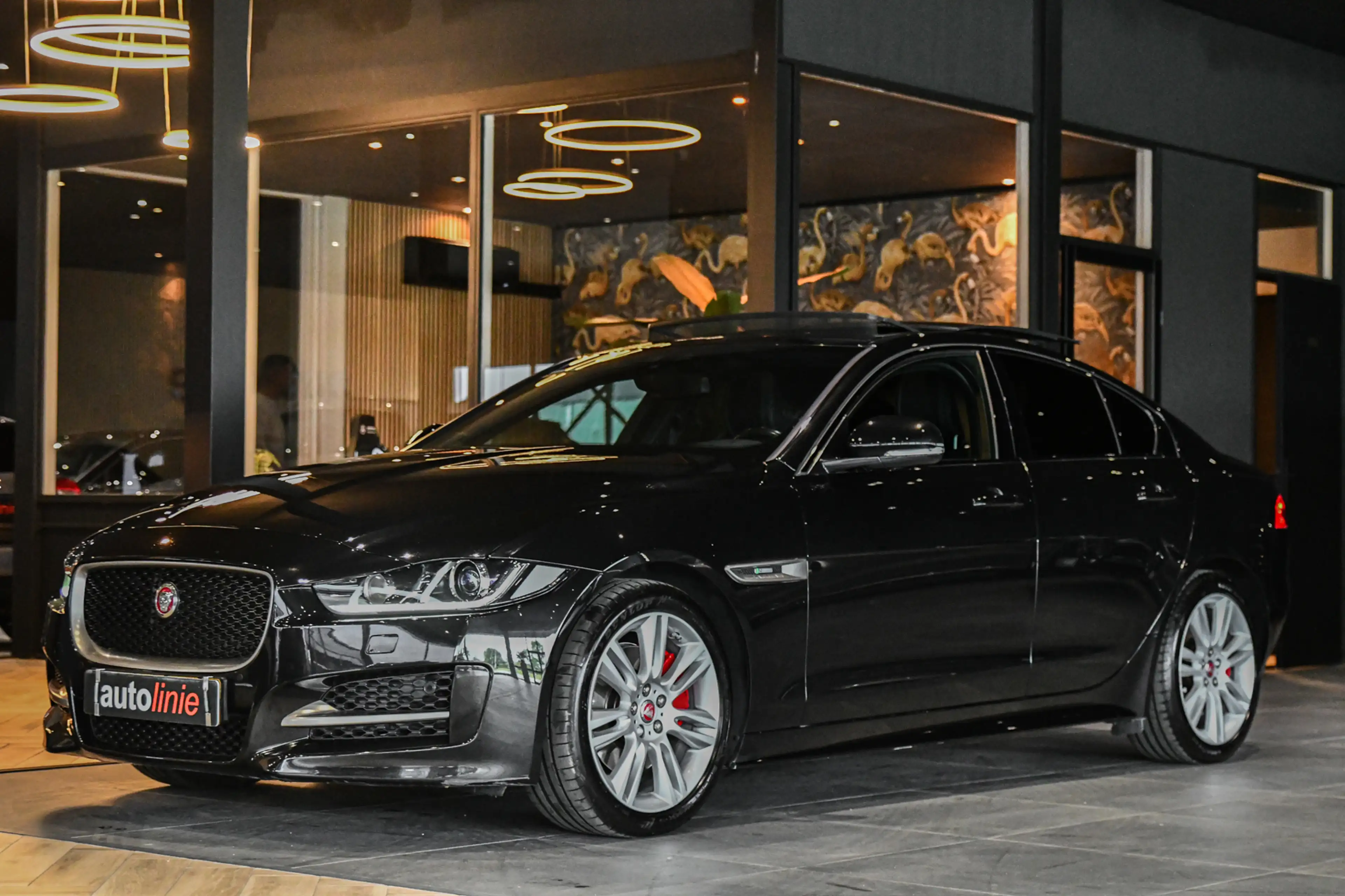 Jaguar XE 2.0 R-Sport, Panorama, Meridian, Leder, Memory, Ca — photo 3