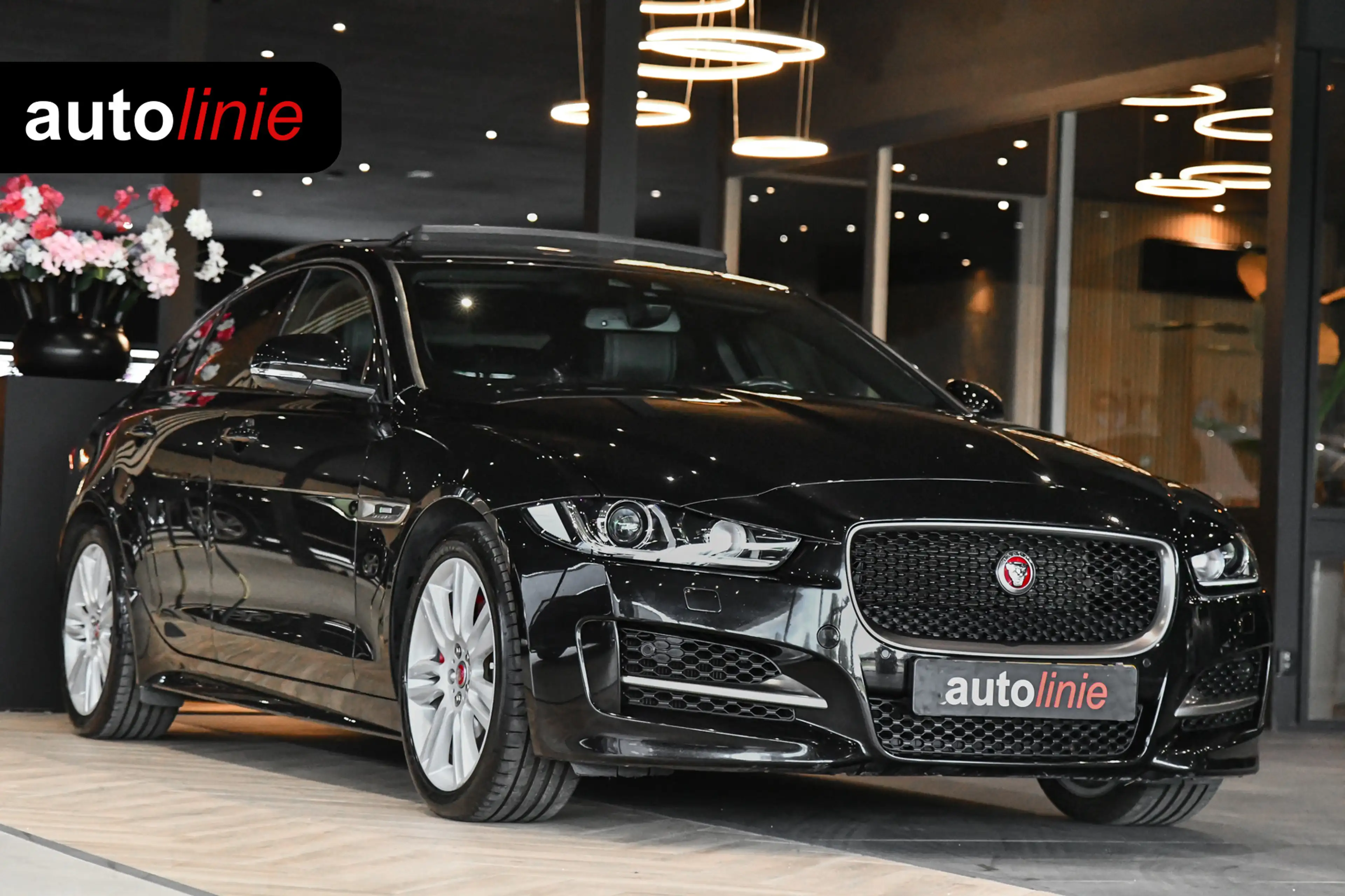 Jaguar XE 2.0 R-Sport, Panorama, Meridian, Leder, Memory, Ca