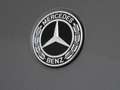 Mercedes-Benz EQA 250+ Business Line / Achteruitrijcamera / Stoelver Grijs - thumbnail 29