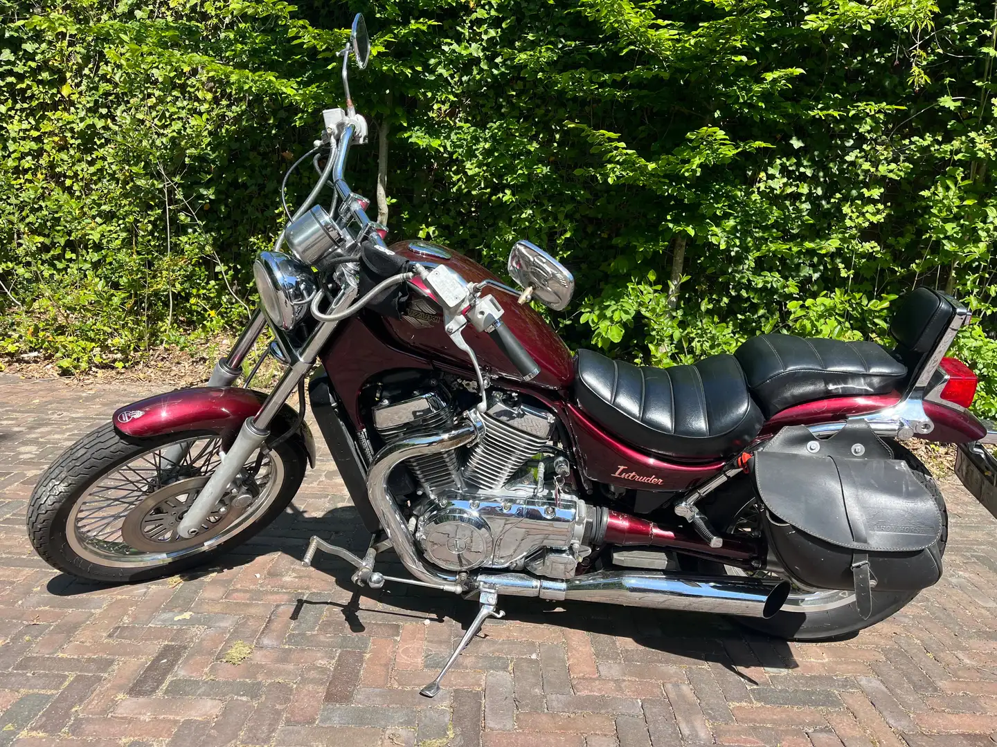 Suzuki VS 700 Intruder chopper Fialová - 1