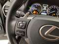 Lexus NX 300h 300h 2.5 Luxury 4wd cvt Grijs - thumbnail 19