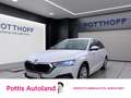 Skoda Octavia Combi 2.0 TDI DSG STYLE AHK NAVI PDC SITZHZG Weiß - thumbnail 1
