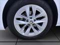 Skoda Octavia Combi 2.0 TDI DSG STYLE AHK NAVI PDC SITZHZG Weiß - thumbnail 8
