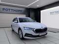 Skoda Octavia Combi 2.0 TDI DSG STYLE AHK NAVI PDC SITZHZG Weiß - thumbnail 6