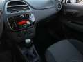Fiat Punto Evo 1.3 Mjt 75 CV 5p. S&S Active Bílá - thumbnail 11