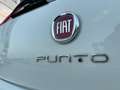 Fiat Punto Evo 1.3 Mjt 75 CV 5p. S&S Active bijela - thumbnail 4