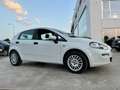 Fiat Punto Evo 1.3 Mjt 75 CV 5p. S&S Active Fehér - thumbnail 5