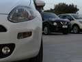 Fiat Punto Evo 1.3 Mjt 75 CV 5p. S&S Active bijela - thumbnail 14
