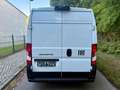 Fiat Ducato L2H2 120 Klima Tempomat 2024 ACC Blanco - thumbnail 6