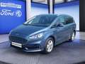 Ford S-Max S-Max 2.5 Duratec FHEV TITANIUM Blauw - thumbnail 1