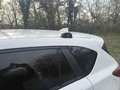 Mazda CX-5 CX-5 CD175 AWD Revolution Aut. Revolution Weiß - thumbnail 22
