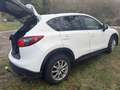 Mazda CX-5 CX-5 CD175 AWD Revolution Aut. Revolution Weiß - thumbnail 16