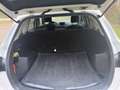 Mazda CX-5 CX-5 CD175 AWD Revolution Aut. Revolution Weiß - thumbnail 15