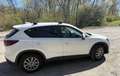 Mazda CX-5 CX-5 CD175 AWD Revolution Aut. Revolution Weiß - thumbnail 4